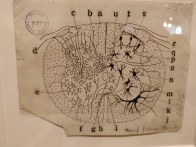 Cajal exhibition